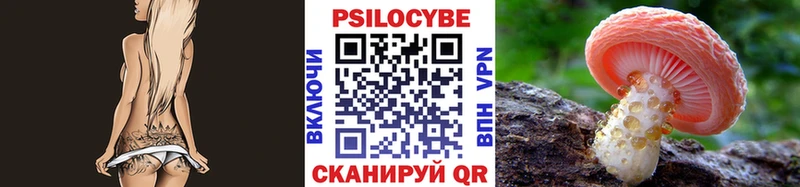 мориарти клад  Фрязино  Псилоцибиновые грибы мухоморы 