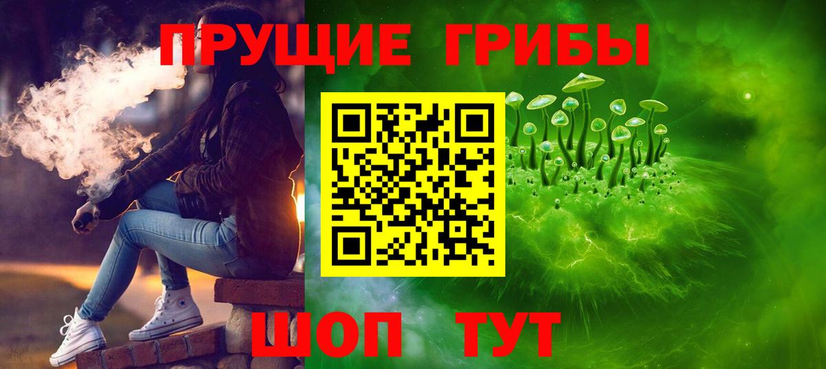Фрязино  Галлюциногенные грибы прущие грибы  хочу наркоту  Вход с VPN 