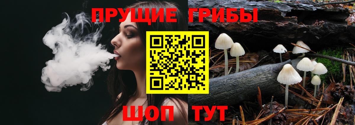 Галлюциногенные грибы прущие грибы Фрязино